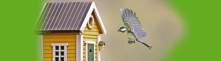 vogelzubehoer kategorieeinstiegsbanner vogelzubehoer kategorieeinstiegsbanner